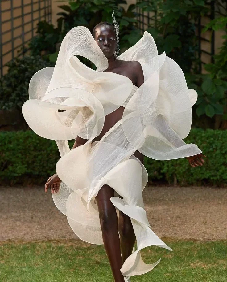 Iris van harpen Conception 3D