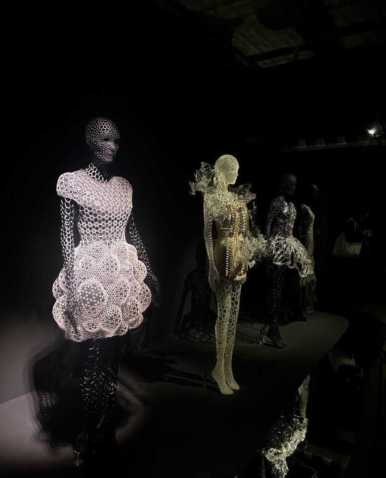 Iris van harpen Conception 3D